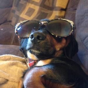 Meet your Posher, Christy